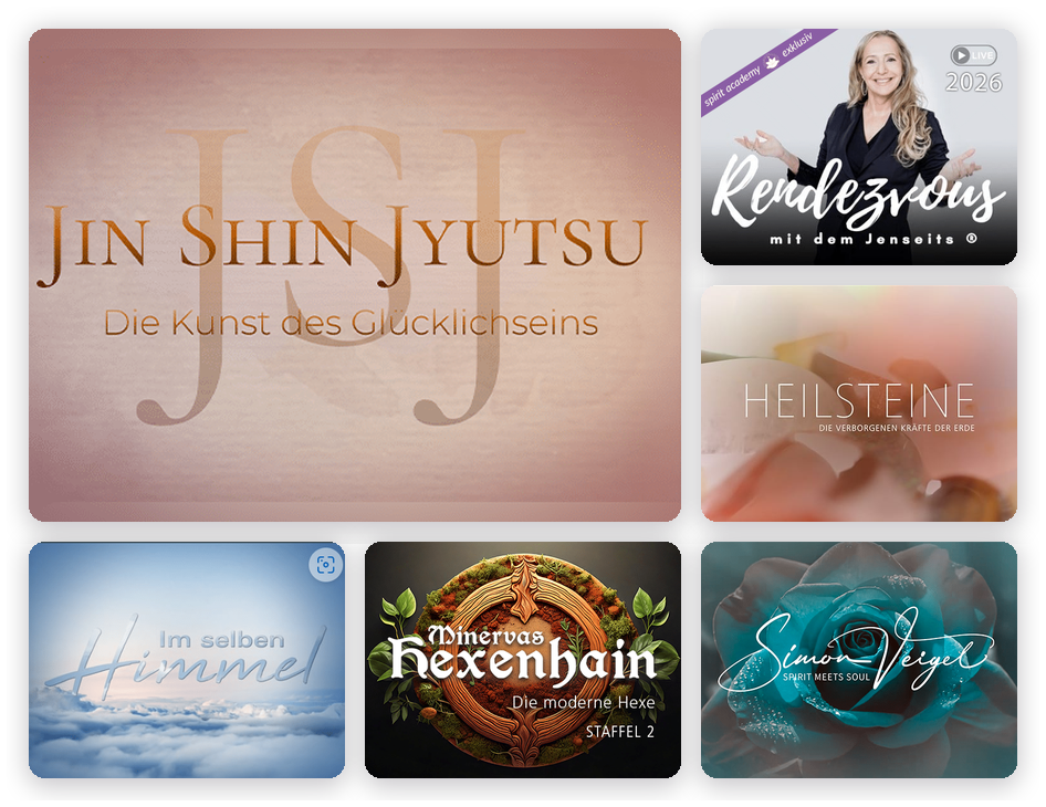 Formate der spirit academy, darunter Jin Shin Jyutsu von Silvie Wendang